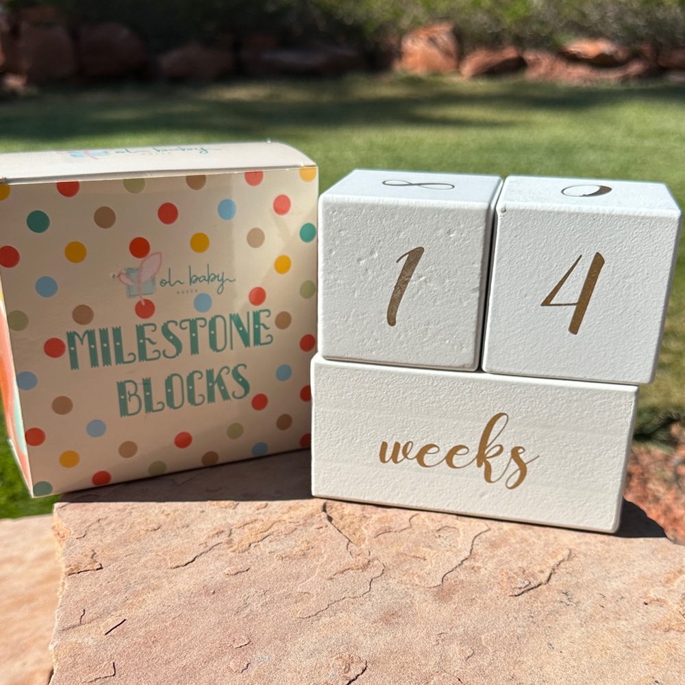 Colorful Milestone Blocks